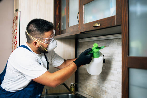 Best Best Pest Control Companies  in Houghton, NY