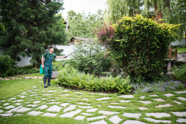 Best Pest Prevention Services  in Houghton, NY