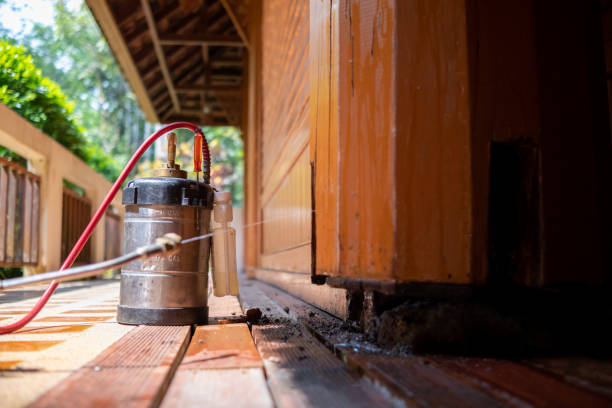 Best Termite Control Services  in Houghton, NY