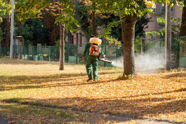 Best Best Pest Control Companies  in Houghton, NY